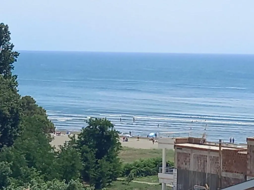 img_id_2427981.webp