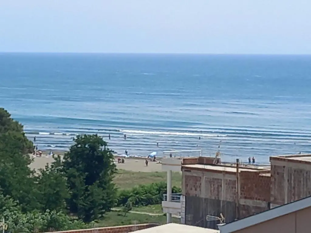 img_id_2428011.webp