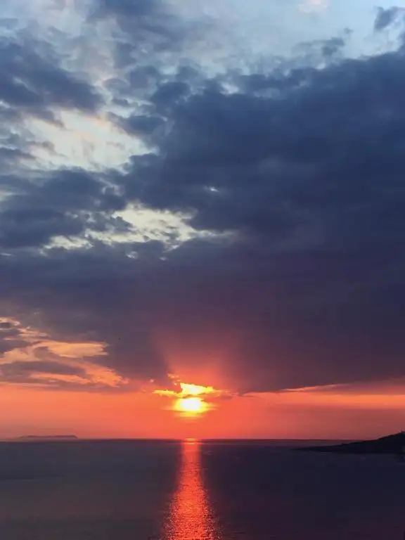 img_id_558620.webp