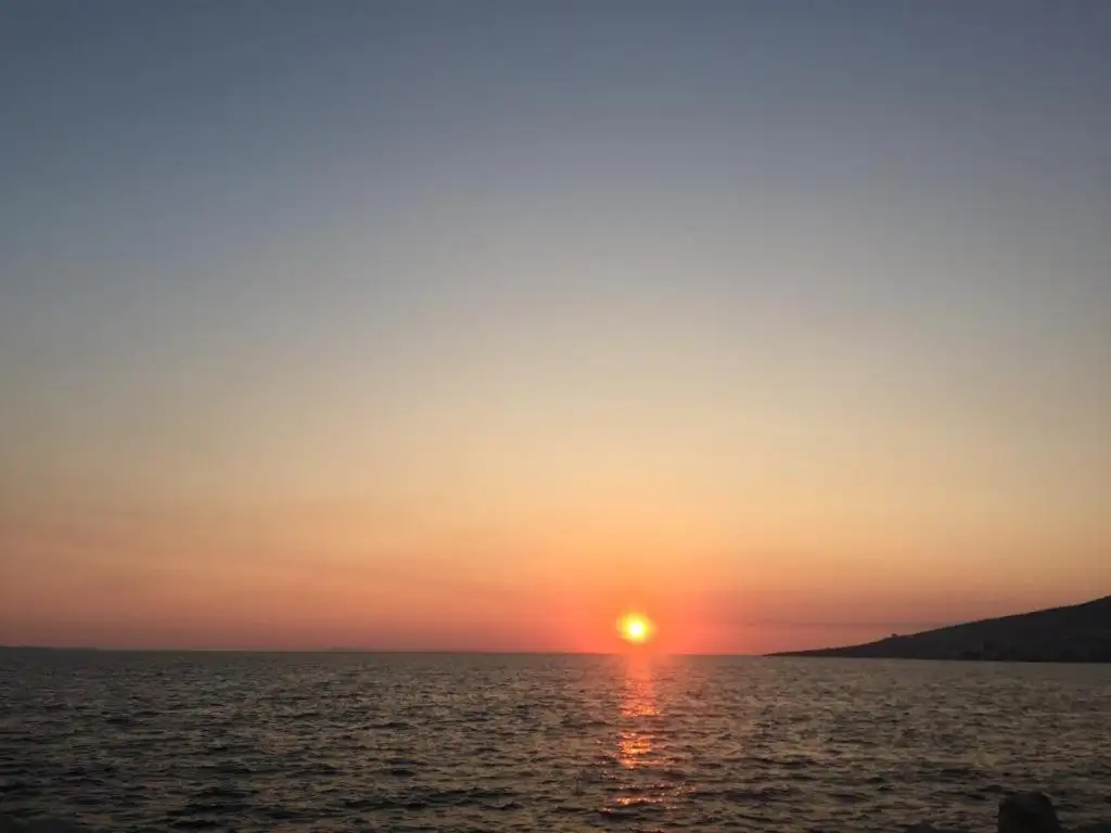 img_id_558626.webp