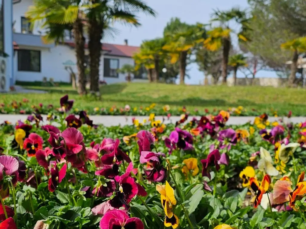 img_id_972293.webp