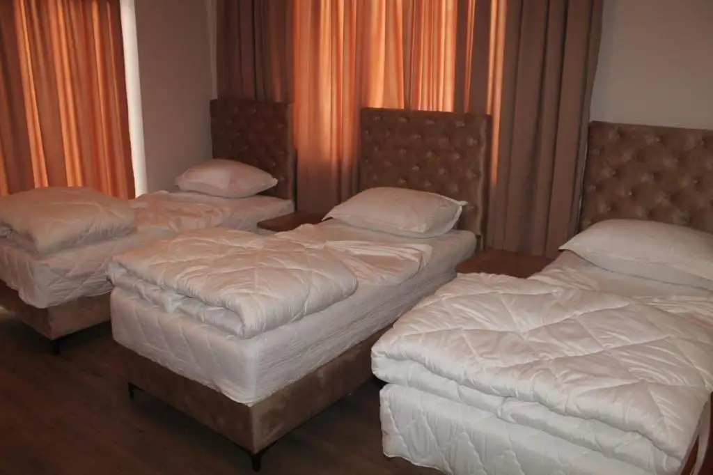 img_id_562043.webp