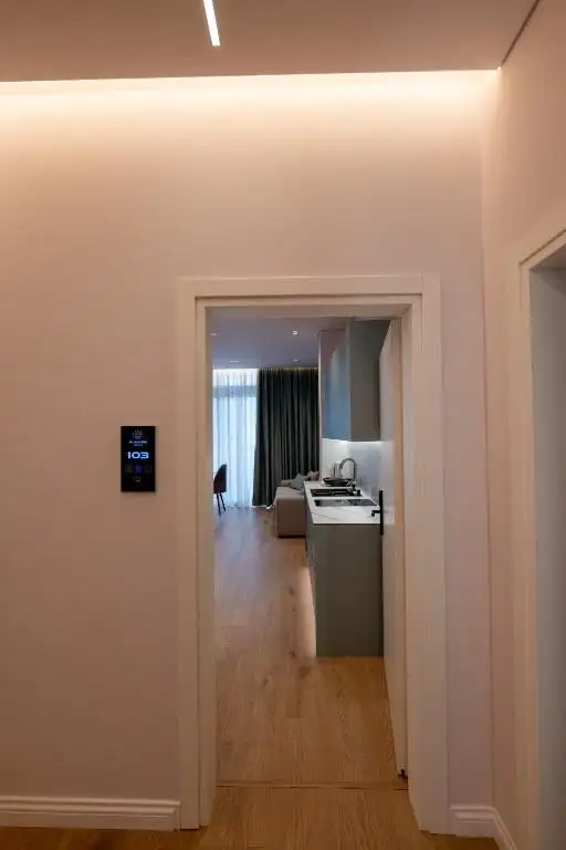 One-Bedroom Apartment image 6