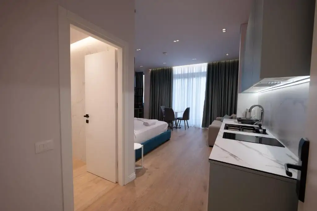 One-Bedroom Apartment image 7