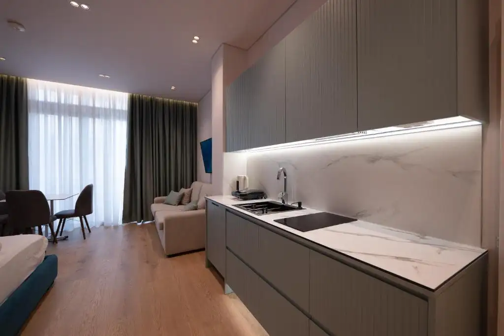 One-Bedroom Apartment image 13