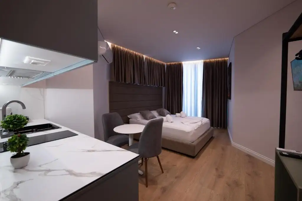 One-Bedroom Apartment image 8