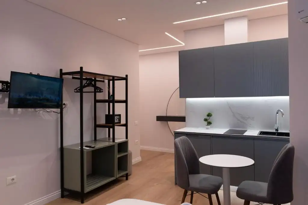 One-Bedroom Apartment image 7