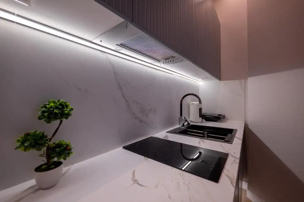 One-Bedroom Apartment image 19