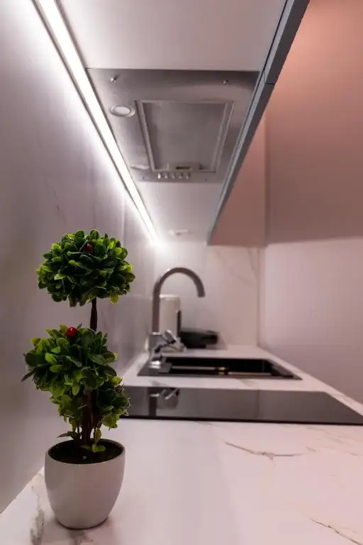 One-Bedroom Apartment image 18