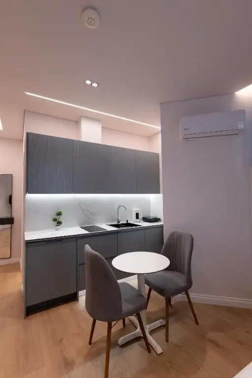 One-Bedroom Apartment image 17