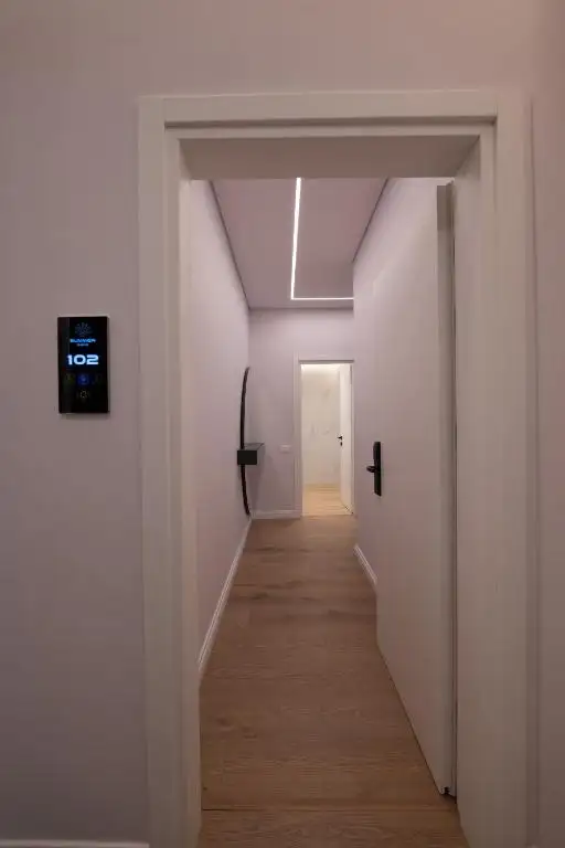 One-Bedroom Apartment image 4