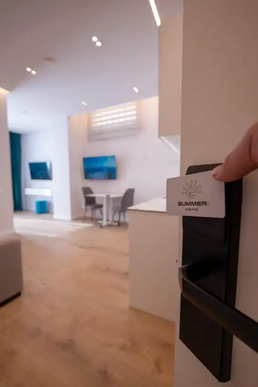 One-Bedroom Apartment image 12