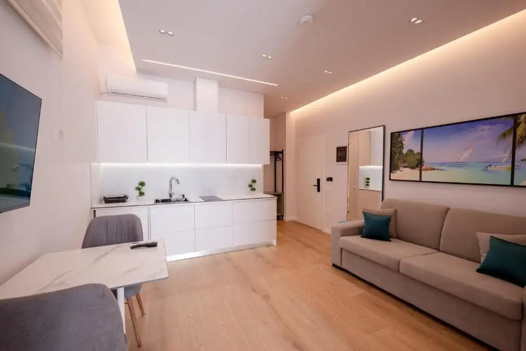 One-Bedroom Apartment image 11