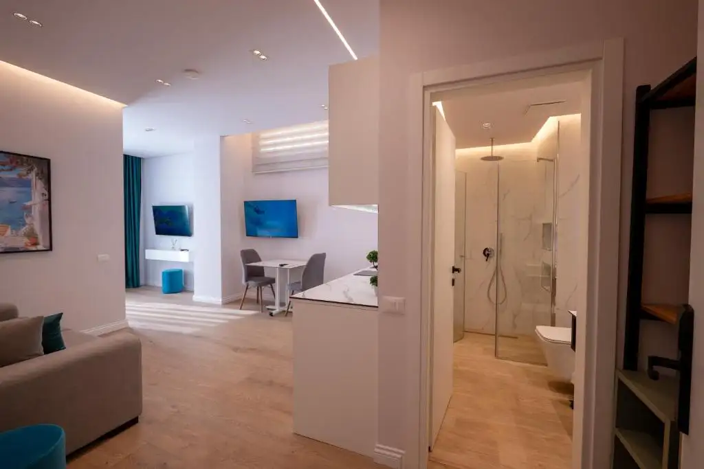 One-Bedroom Apartment image 10