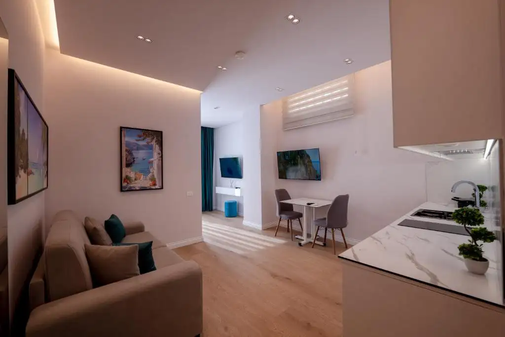 One-Bedroom Apartment image 13