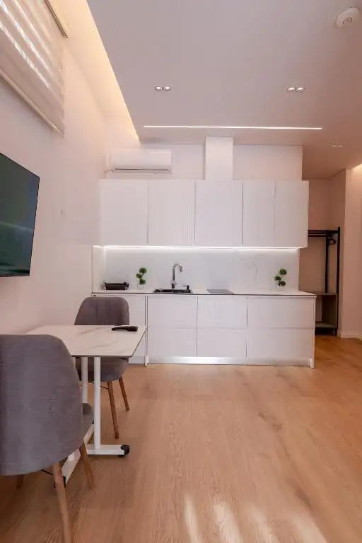 One-Bedroom Apartment image 18