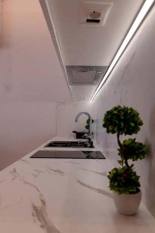 One-Bedroom Apartment image 20