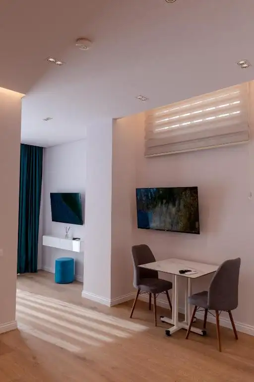 One-Bedroom Apartment image 28