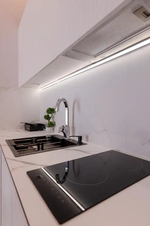 One-Bedroom Apartment image 9