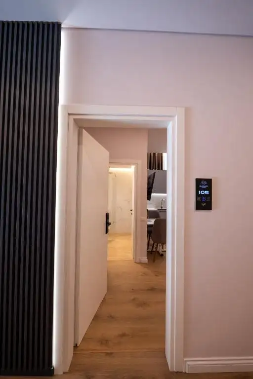 One-Bedroom Apartment image 19