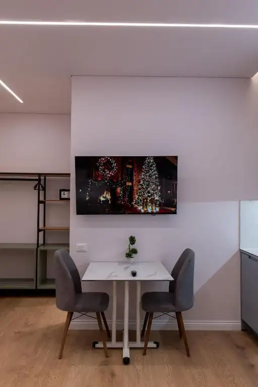 One-Bedroom Apartment image 16