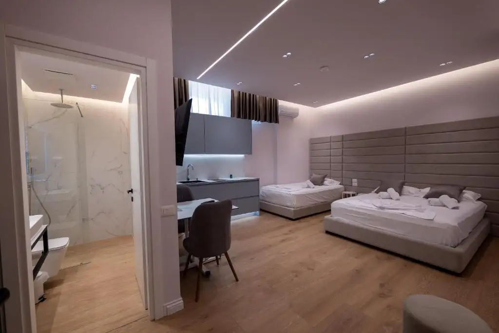 One-Bedroom Apartment image 10