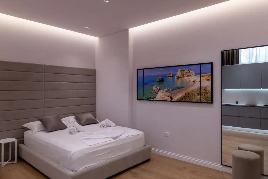 One-Bedroom Apartment image 5