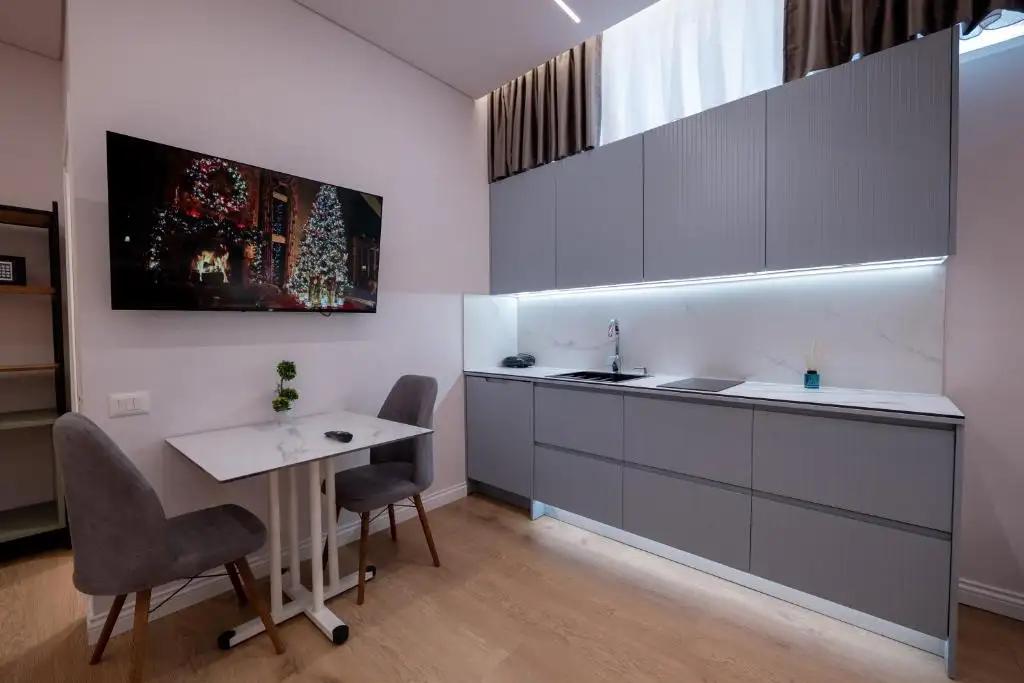 One-Bedroom Apartment image 4