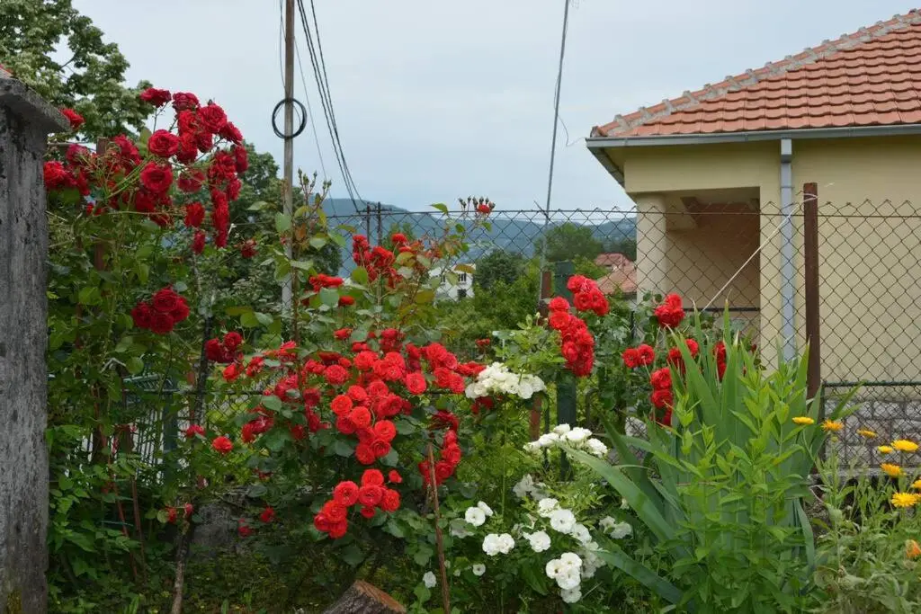 img_id_2425643.webp