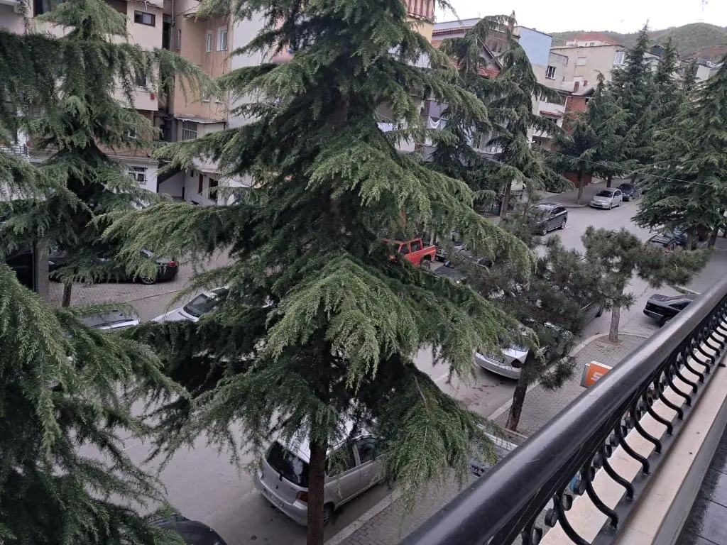 img_id_1675302.webp