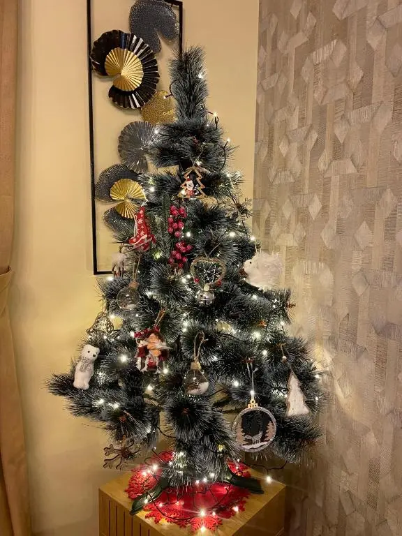 img_id_2424872.webp