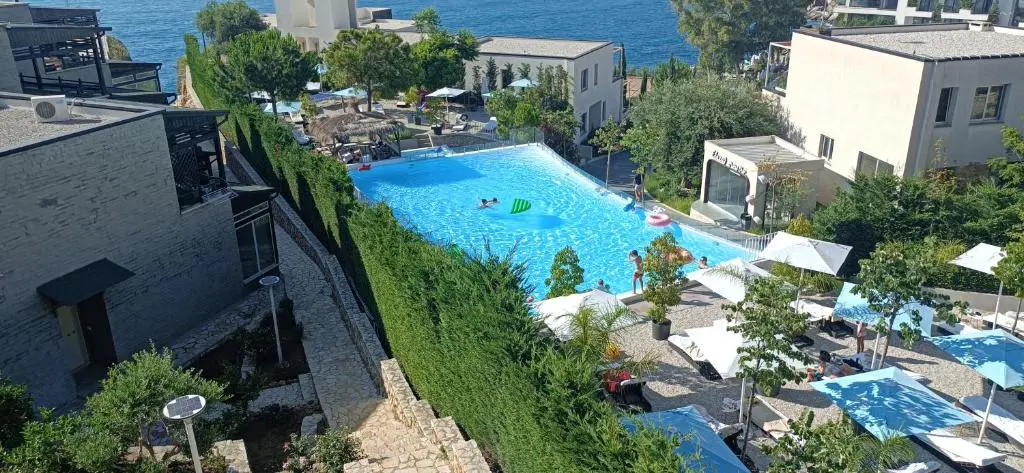 img_id_1649777.webp