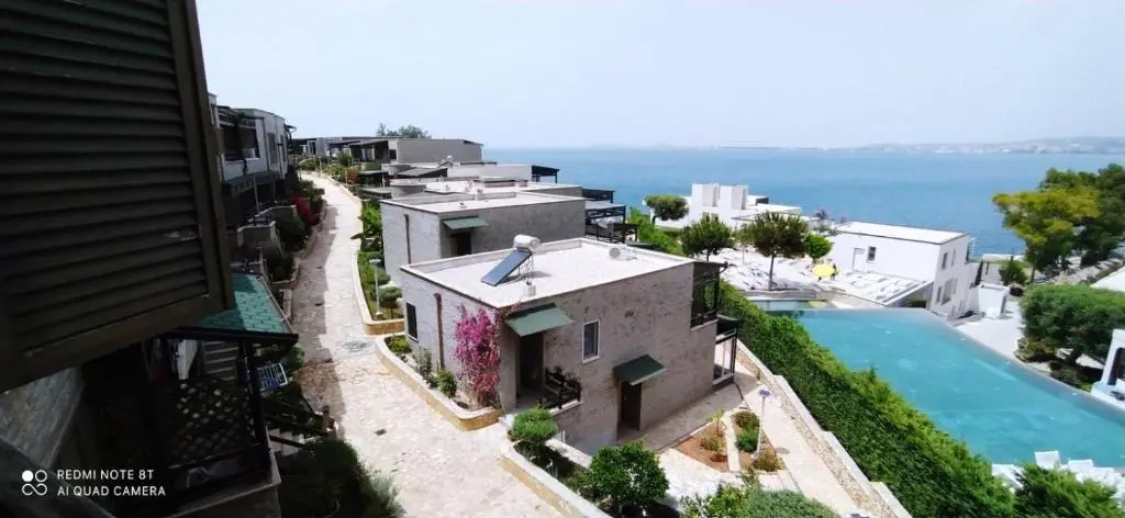 img_id_1649822.webp