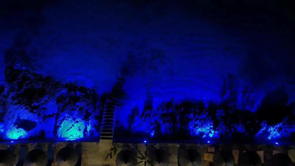img_id_615438.webp