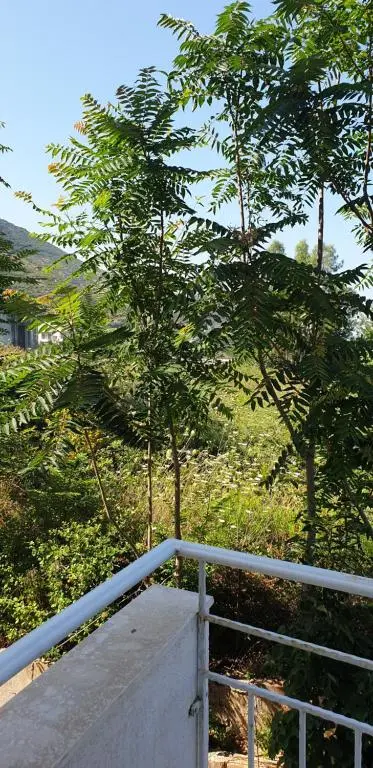 img_id_1013954.webp
