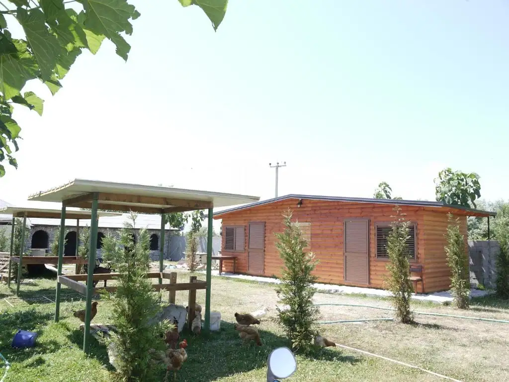 img_id_618768.webp
