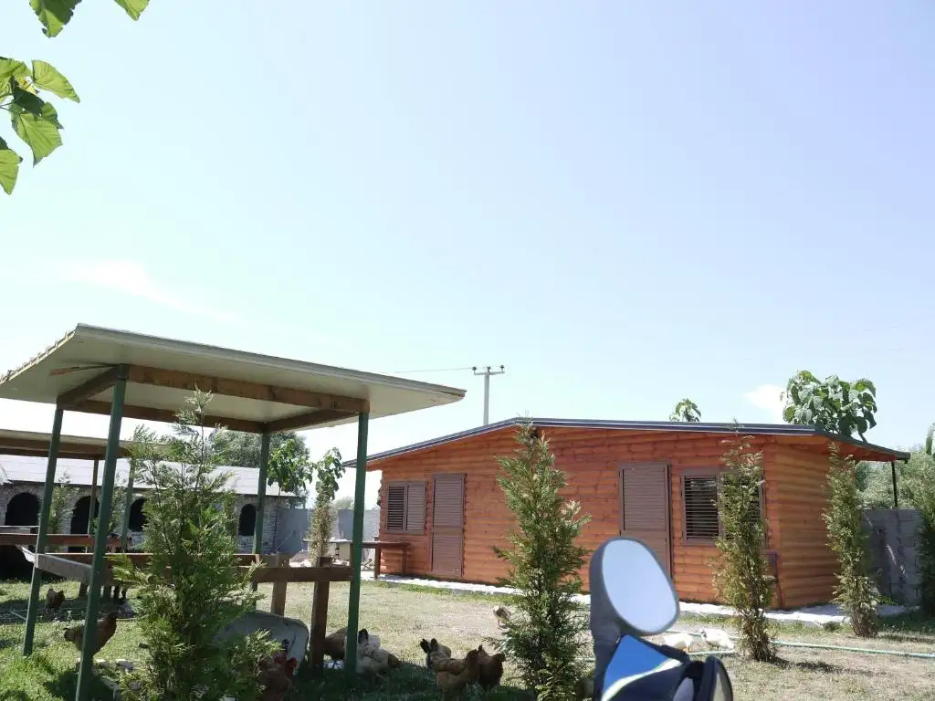 img_id_618803.webp