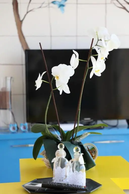 img_id_1650798.webp