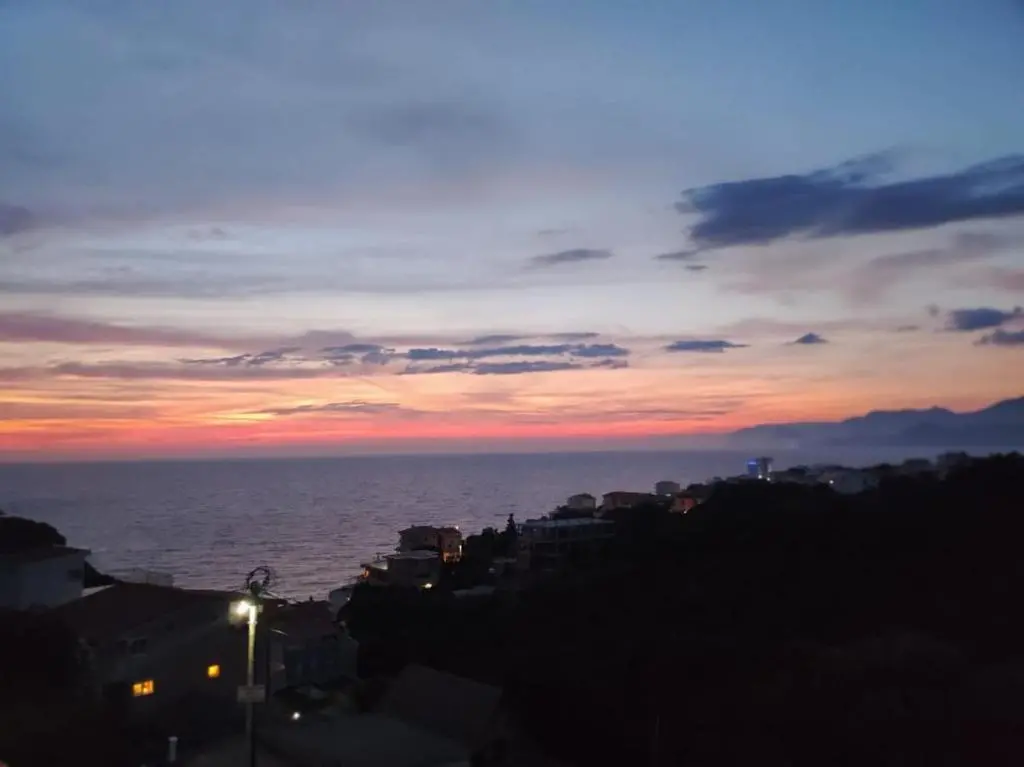 img_id_2421168.webp