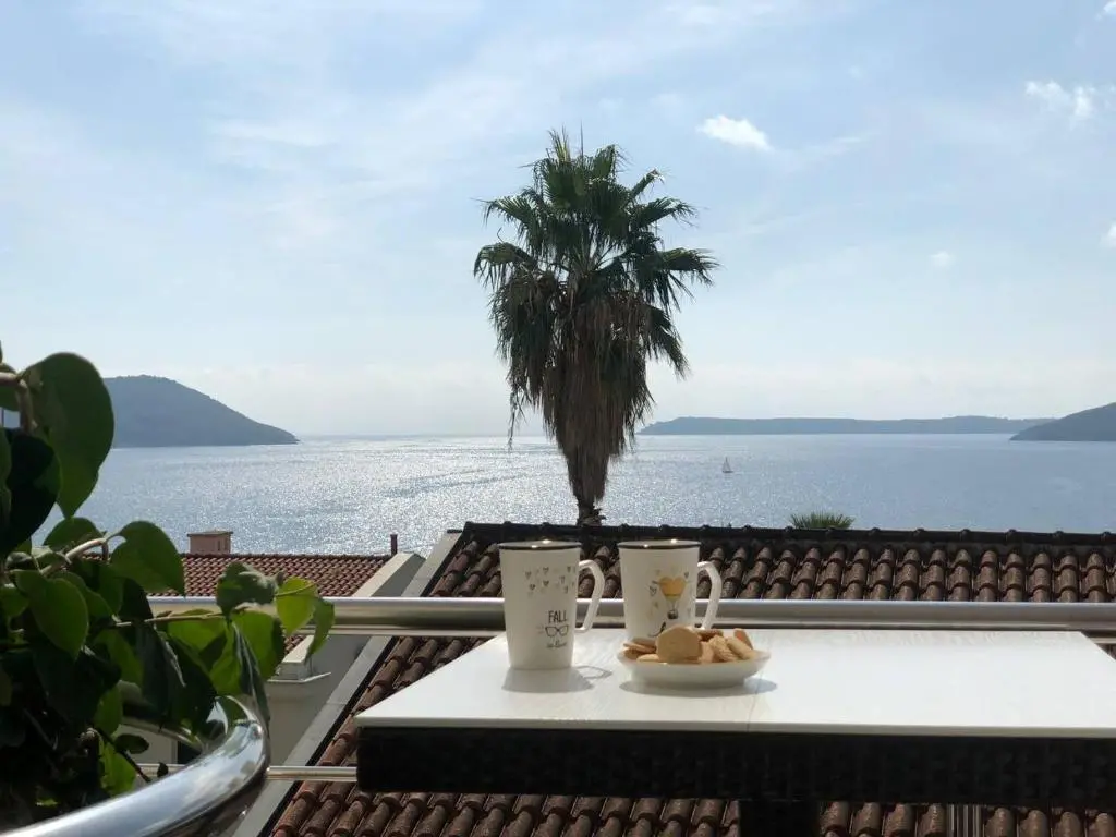 img_id_2420922.webp
