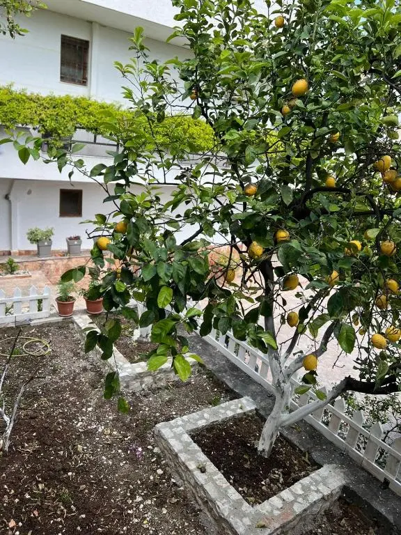 img_id_1679738.webp