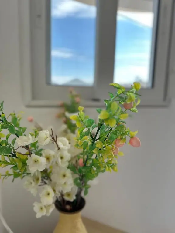 img_id_1703240.webp