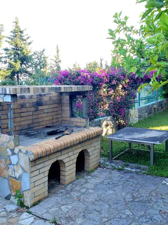 img_id_606349.webp