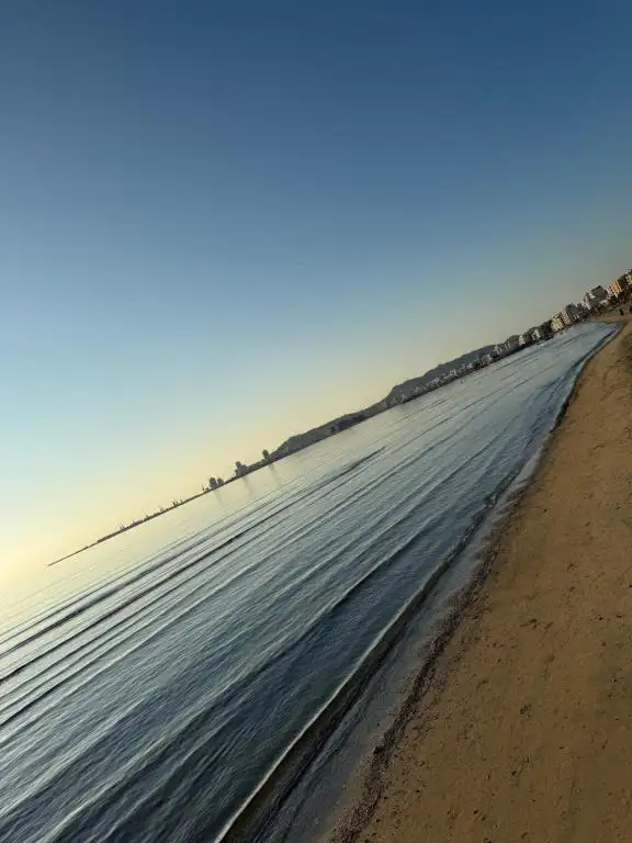 img_id_607276.webp