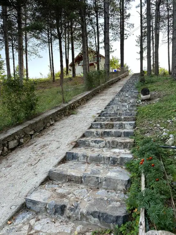 img_id_611613.webp
