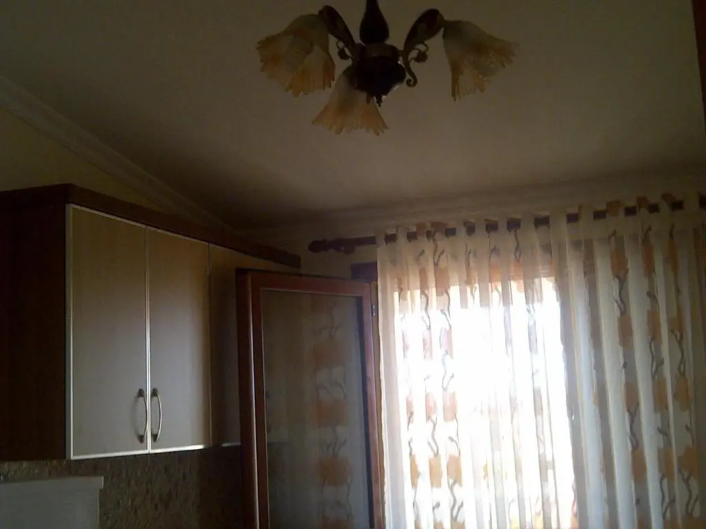 img_id_981382.webp