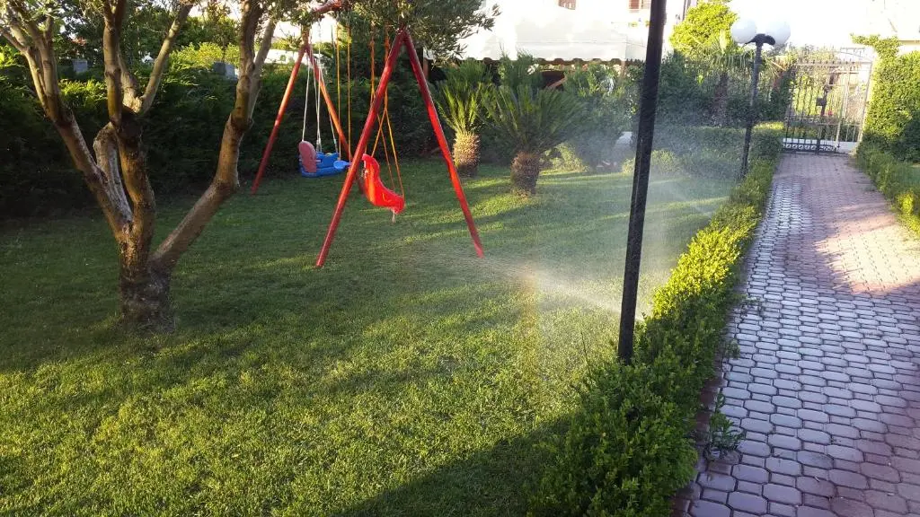 img_id_1014928.webp