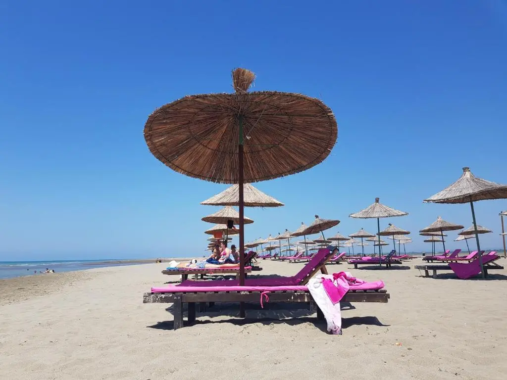 img_id_1014954.webp