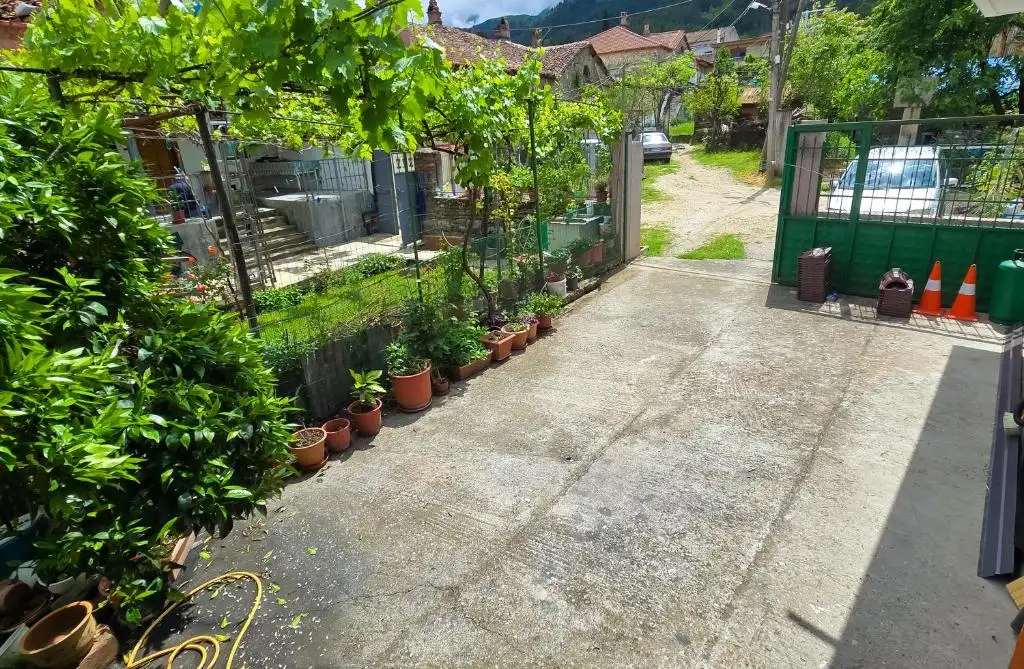 img_id_704564.webp