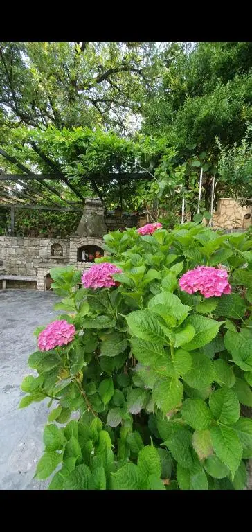 img_id_2417287.webp